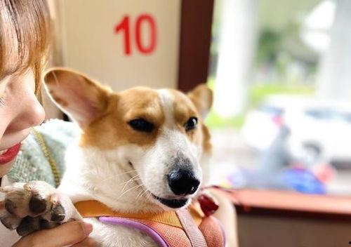 娱乐吃瓜爆料最新版下载